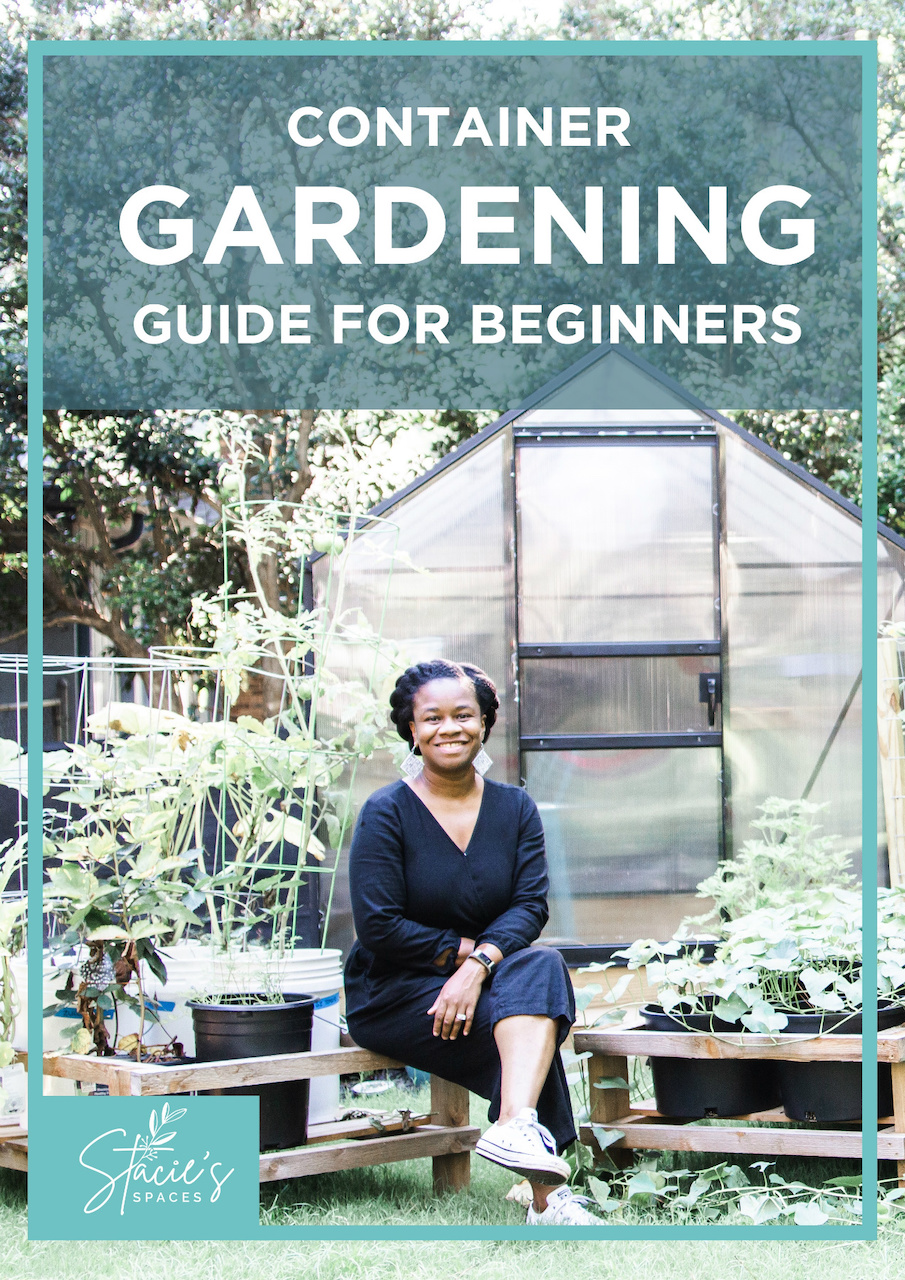 Container Gardening Guide for Beginners